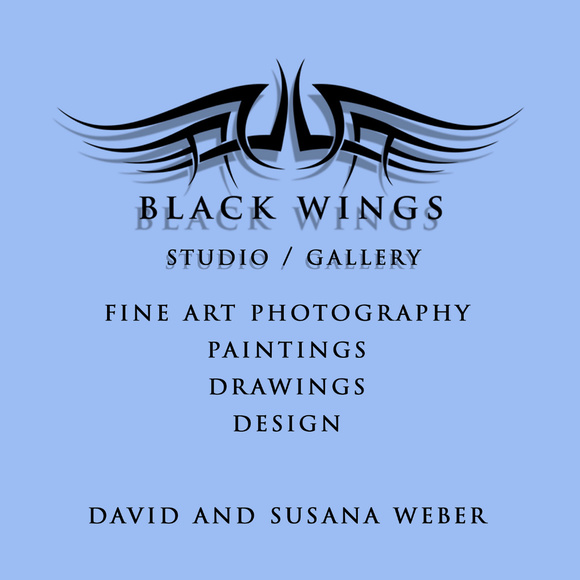 Black Wings Studio / Gallery - Picture 1 of 8